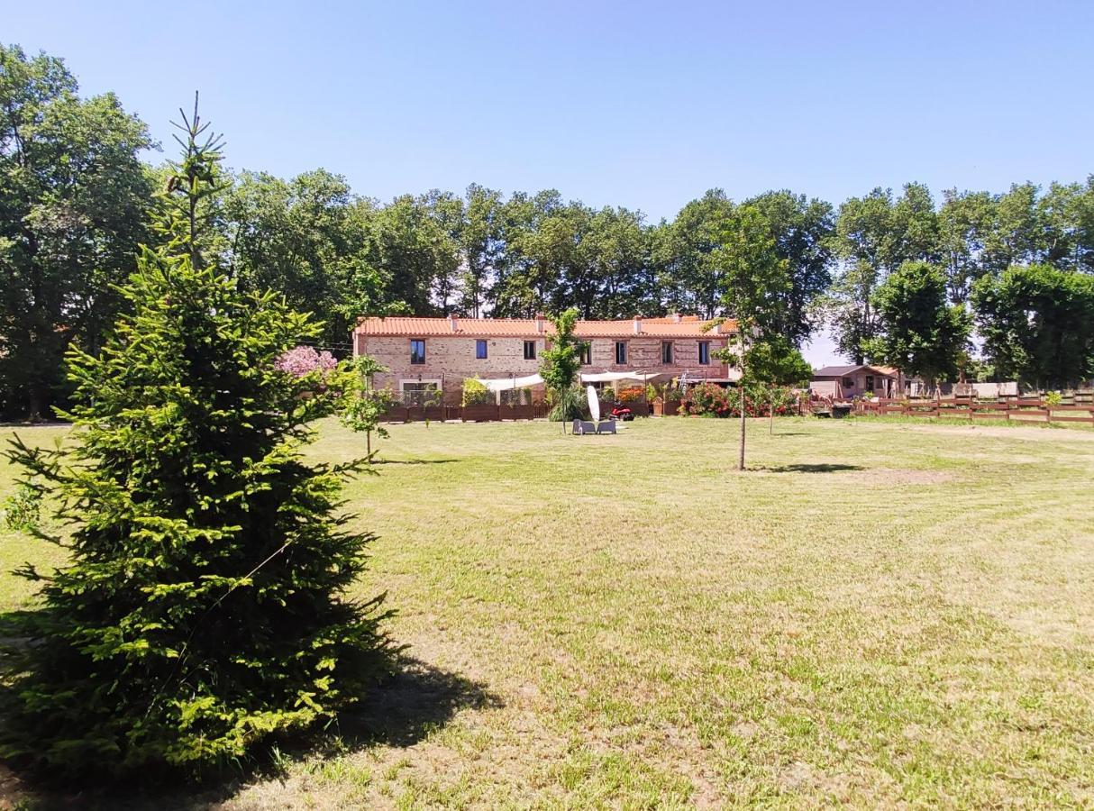 Les Appartements Du Mas Riols Saint-Cyprien  Eksteriør bilde